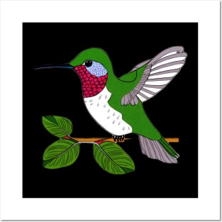 Hummingbird: Beautiful, Bright, & Colorful  | Posters and Art